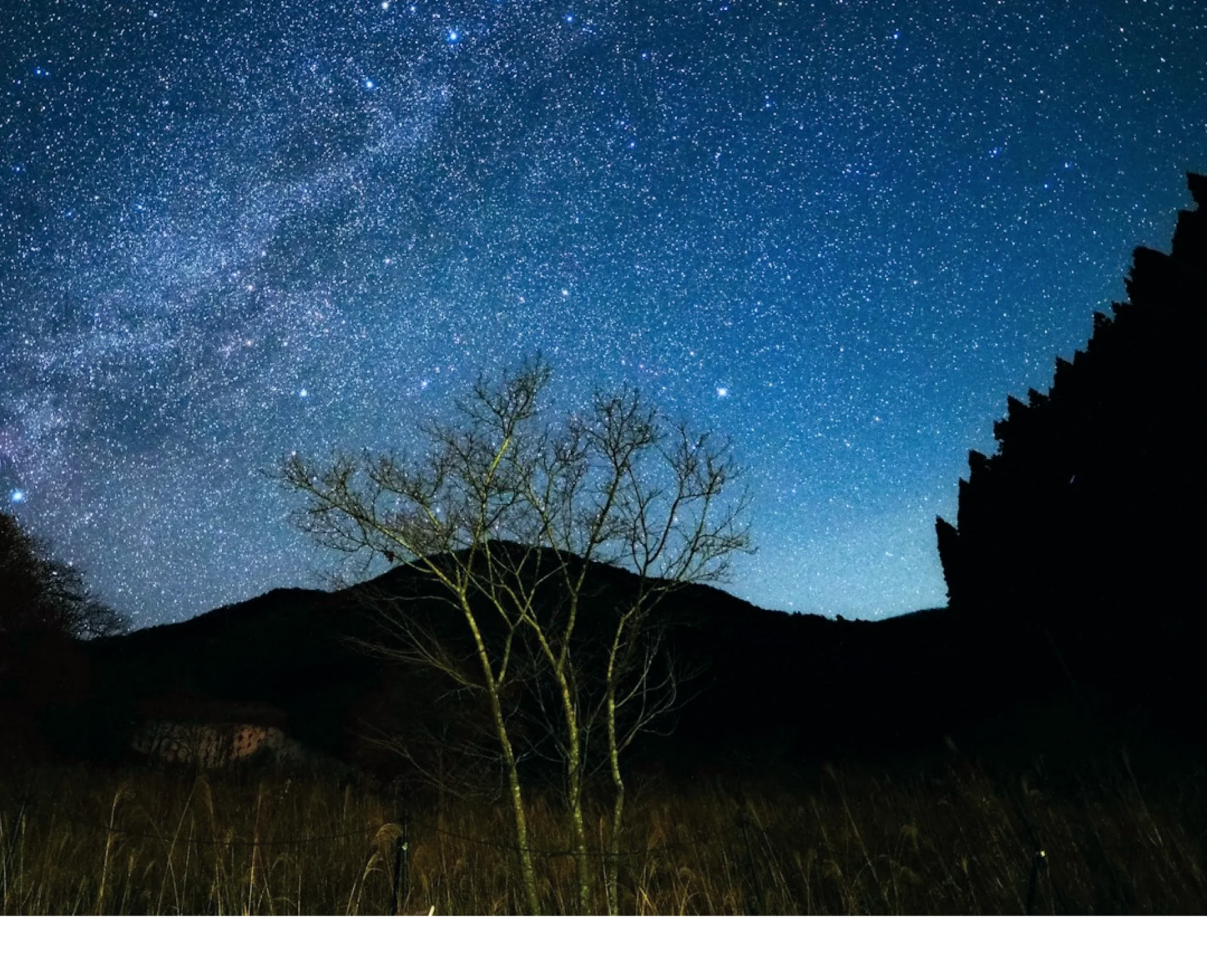 満点の夜の星空の画像