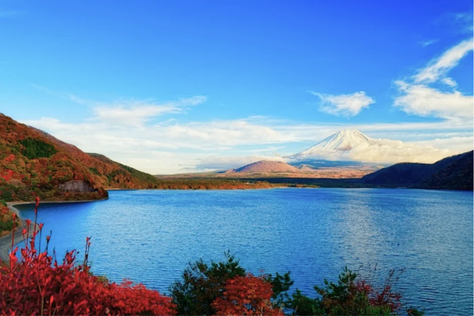 湖畔と富士山の画像